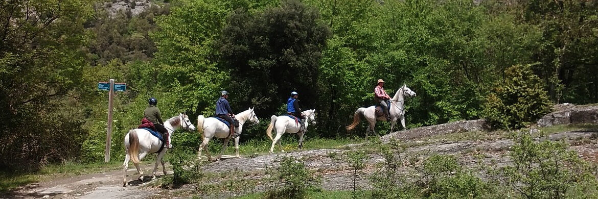 Ruta del catllarás