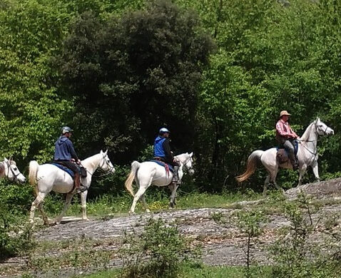 Ruta del catllarás