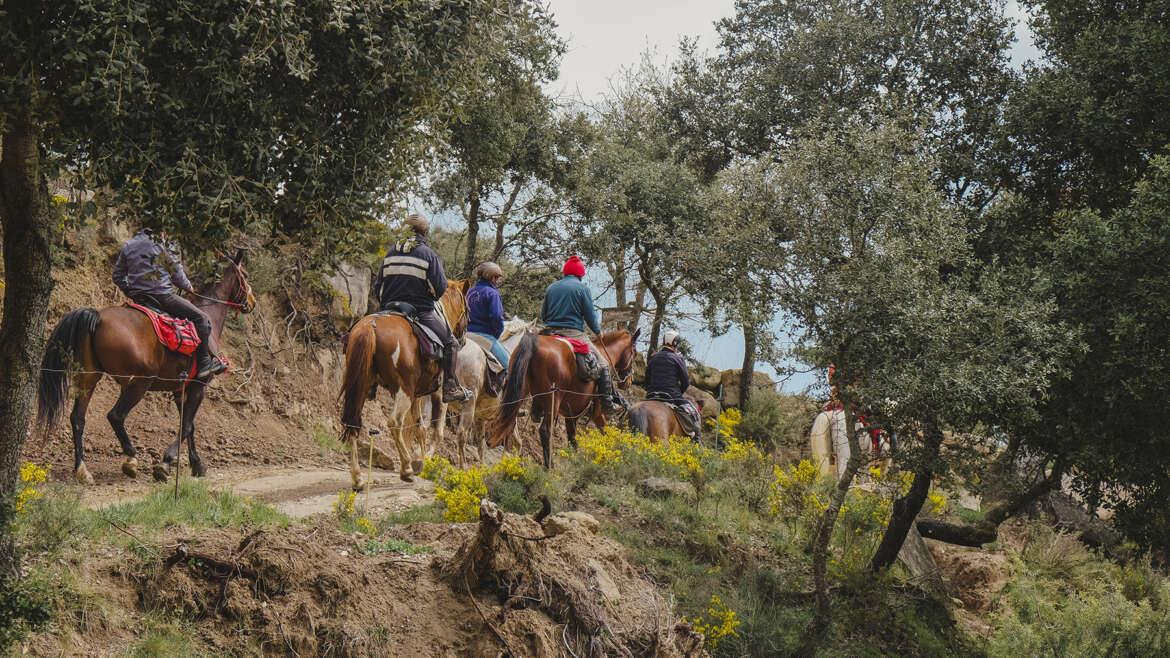 Rutes del Lluçanès