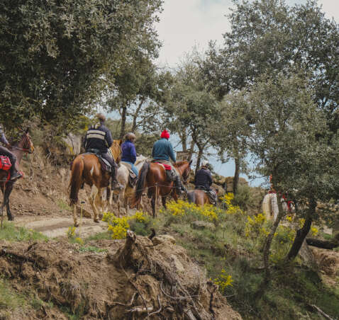 Rutes del Lluçanès