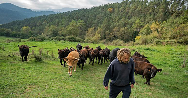 Premios Pita (innovación tecnológica en agricultura, Ruralcat)